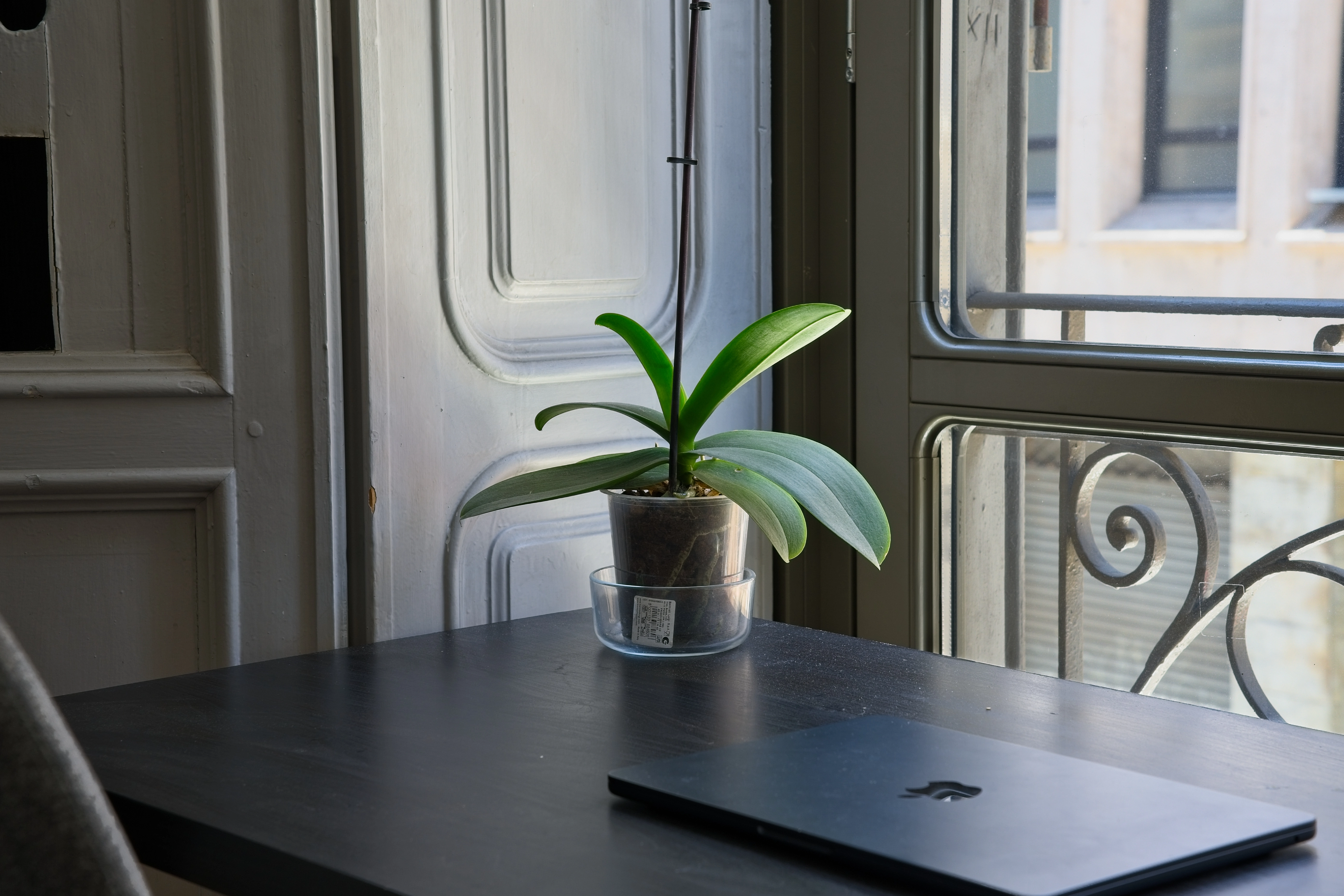 MODERN INTERIORS